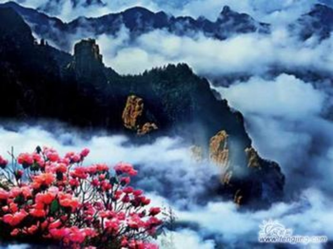 《湖北神农架旅游区总体策划》（世界遗产 5A级景区）（2011年国际竞标第一名）