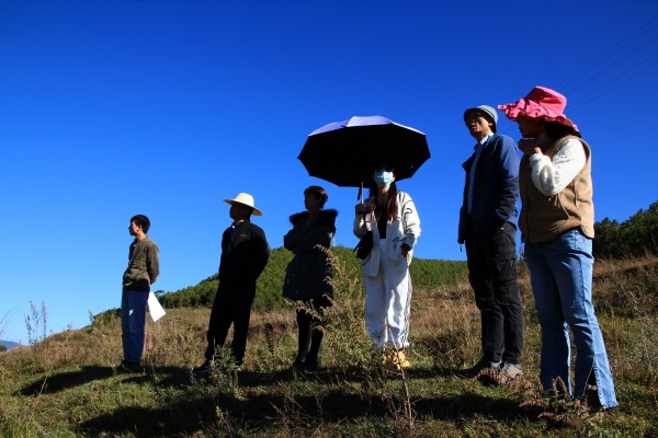 先锋文旅专家团队赴云南兰坪考察指导通甸镇旅游发展