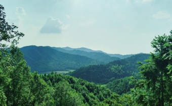 喜讯！我公司获《临川梦山产业综合体建设项目概念性规划设计方案》全国竞标第一名！
