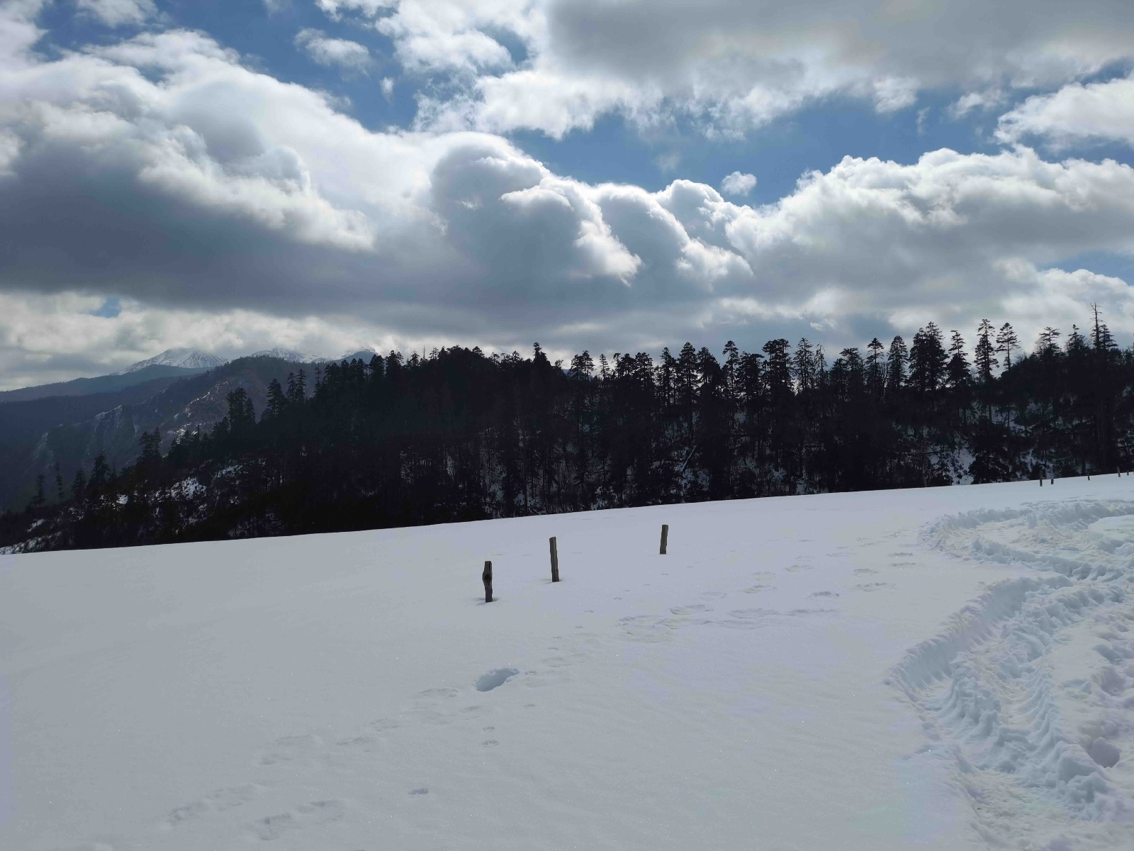 我机构中标《兰坪县通甸镇全域旅游规划、罗古箐景区旅游提升策划及片区详细规划》！ - 上海派尼欧旅游咨询有限公司