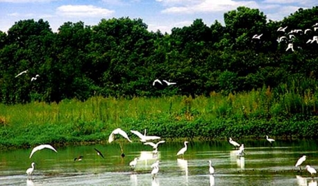 湖州西塞山国际乡村旅游度假区总体规划